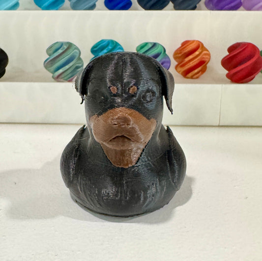 Rottie / Rottweiler Dog Duck