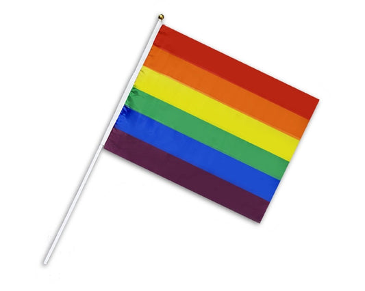 Large Rainbow Flags on a Stick
