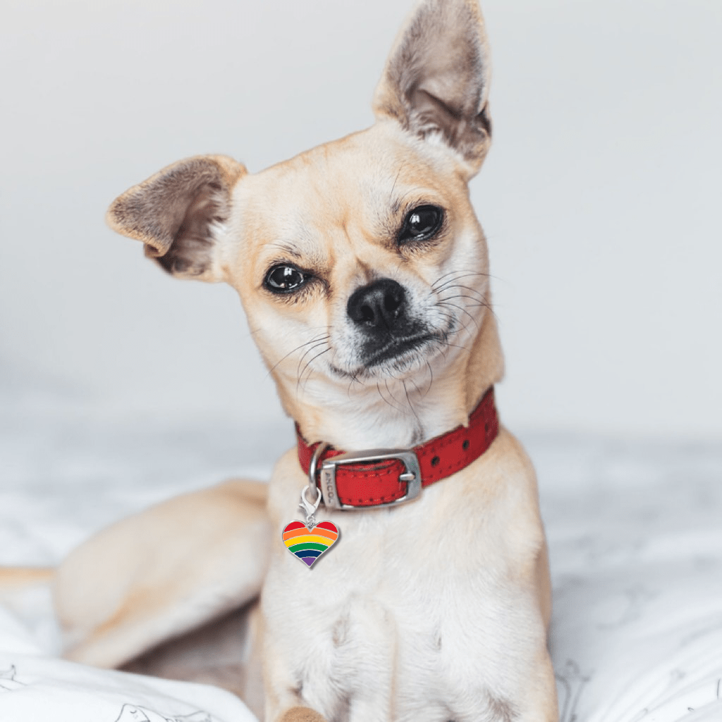 Rainbow Heart Gay Pride Hanging Charms