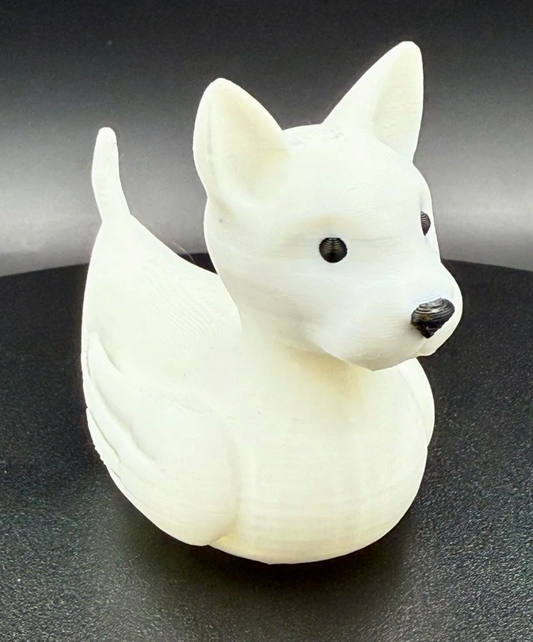 Bull Terrier Dog Duck