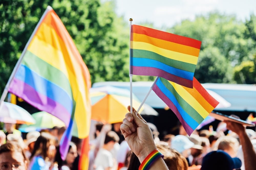 Small Rainbow Flags on a Stick