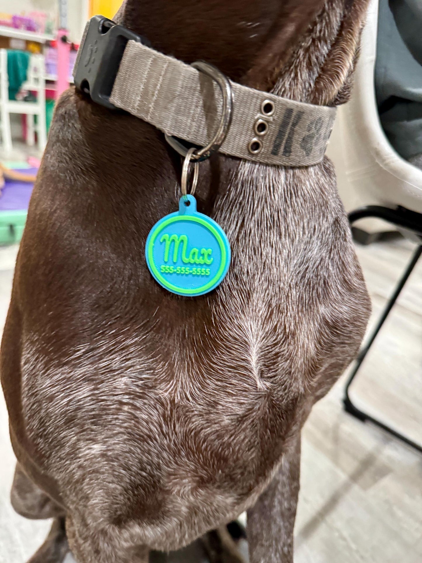 Custom Pet Name ID Tag Circle Collar Charm